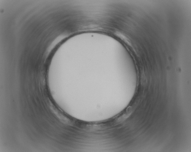 X0000076271458200610262018