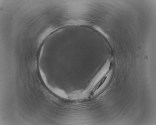 X0000076271459200610262018