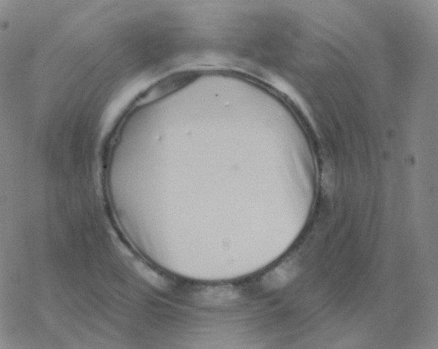 X0000076271464200610262018