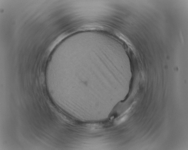 X0000076271465200610262018