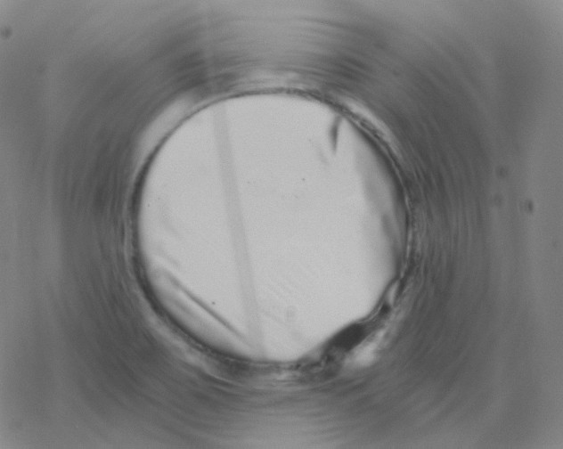 X0000076271467200610262018