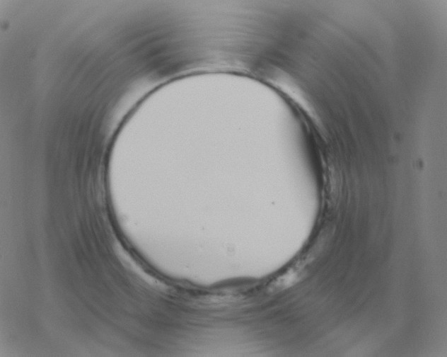 X0000076271468200610262018