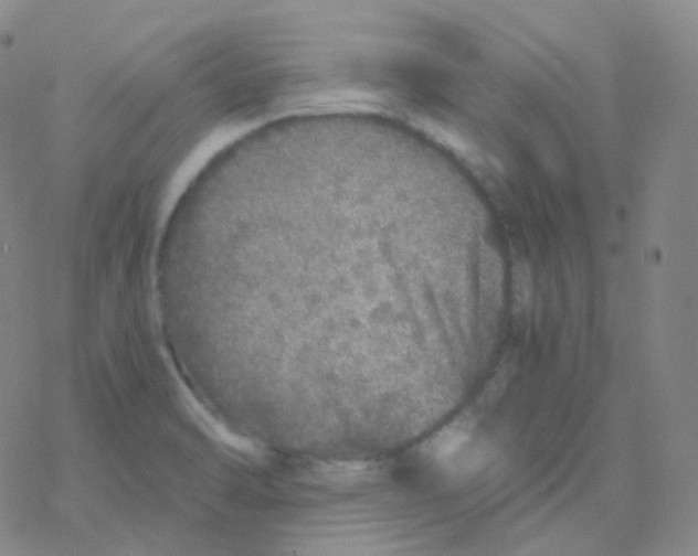 X0000076271470200610262018