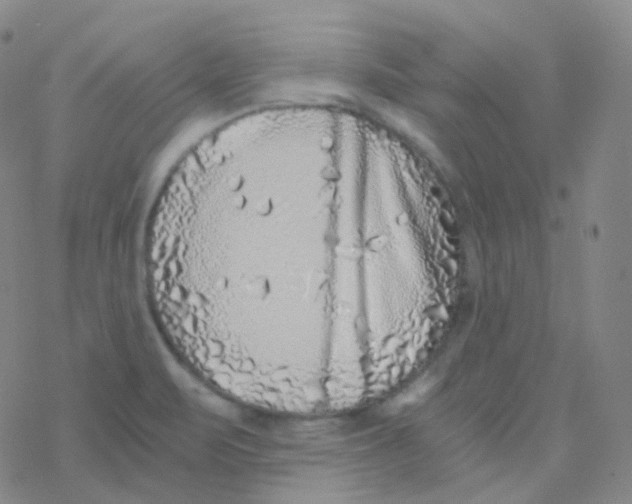 X0000076271471200610262018