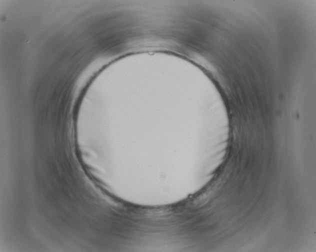 X0000076271472200610262018