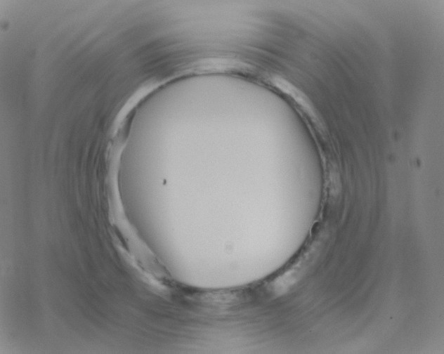 X0000076271473200610262018