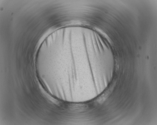 X0000076271475200610262018