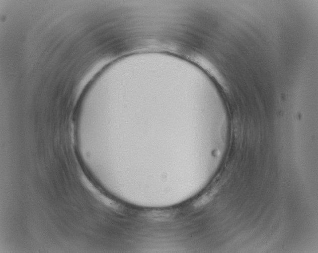 X0000076271476200610262018