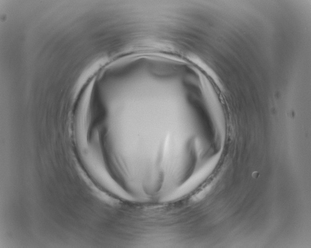 X0000076271477200610262018