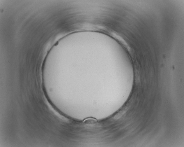 X0000076271479200610262018