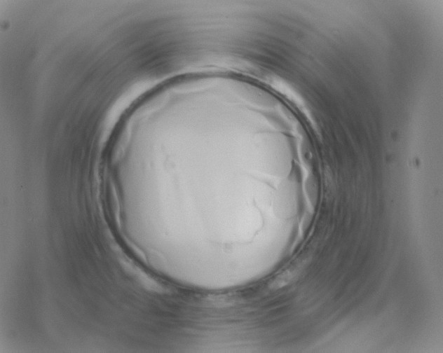 X0000076271480200610262018