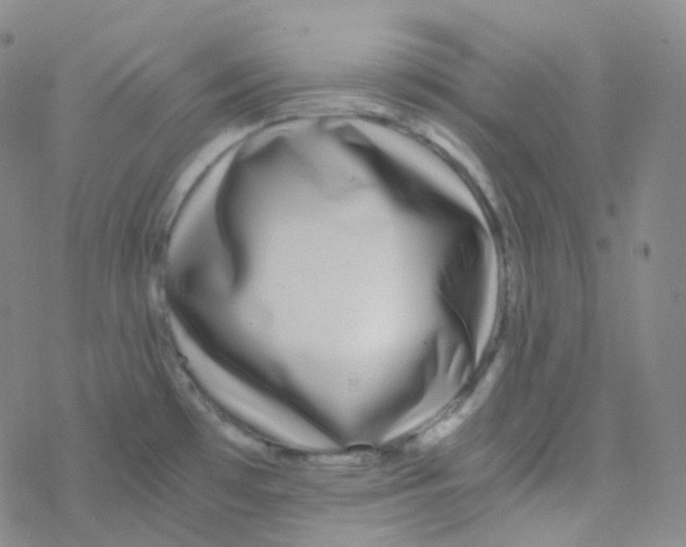 X0000076271481200610262018