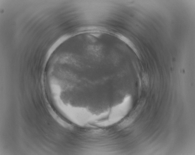 X0000076271482200610262018