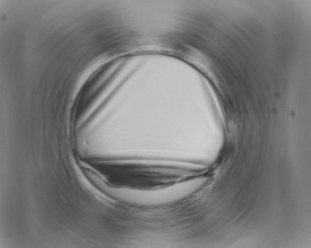 X0000076271483200610262018