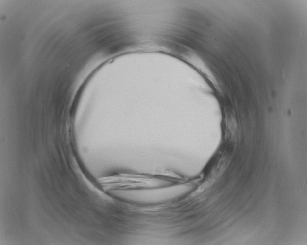 X0000076271484200610262018