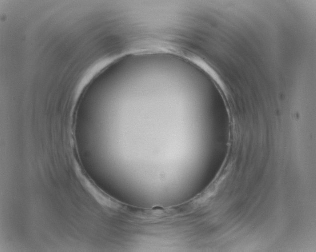 X0000076271485200610262018