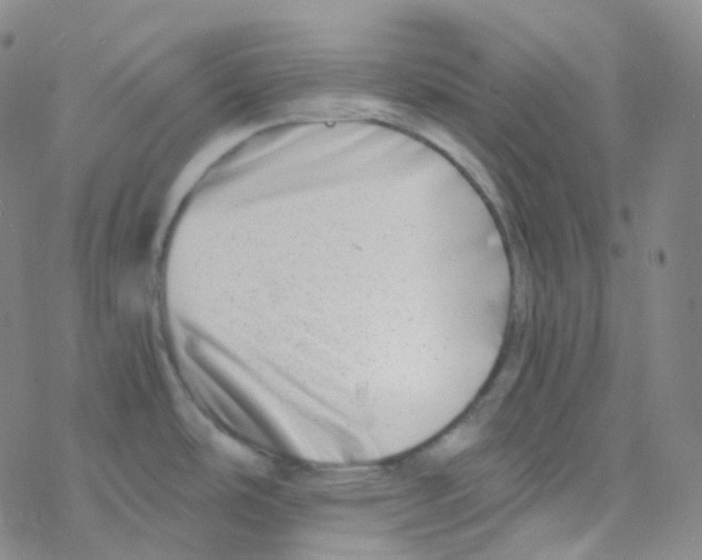 X0000076271486200610262018