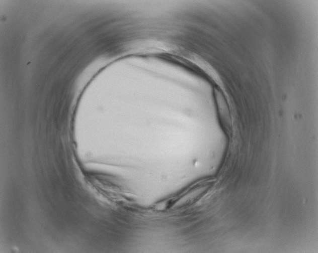 X0000076271488200610262018