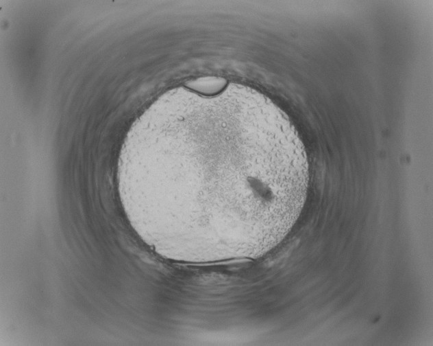 X0000076271489200610262017