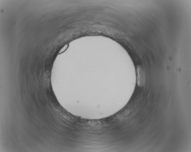 X0000076271491200610262017