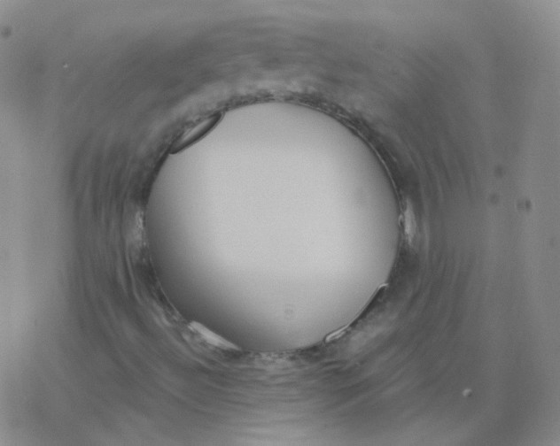 X0000076271492200610262017