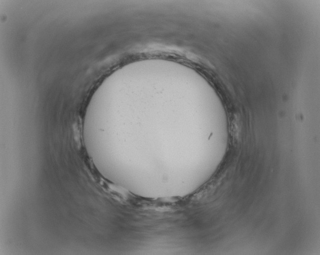 X0000076271493200610262017