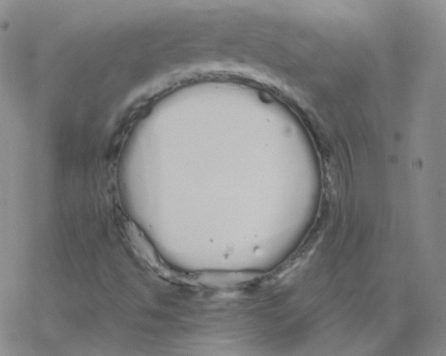 X0000076271494200610262017