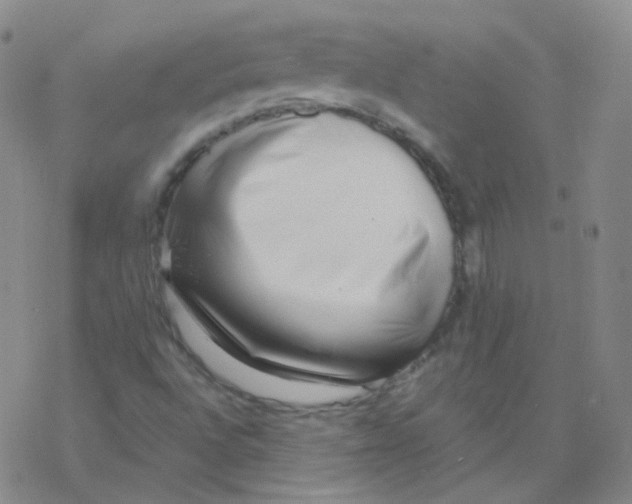 X0000076271496200610262017