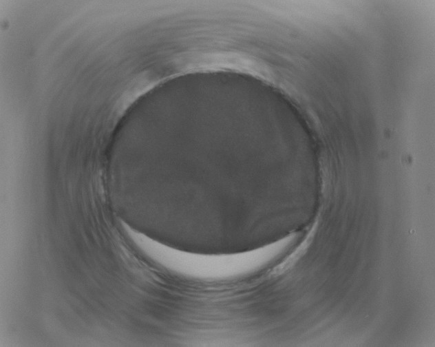 X0000076271497200610262017