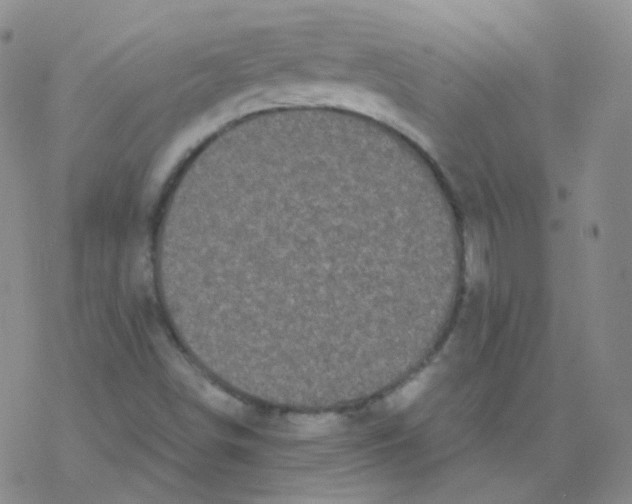 X0000076271498200610262017