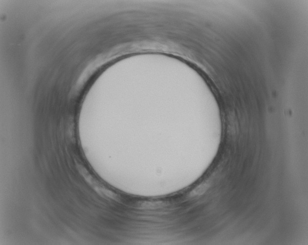 X0000076271499200610262017