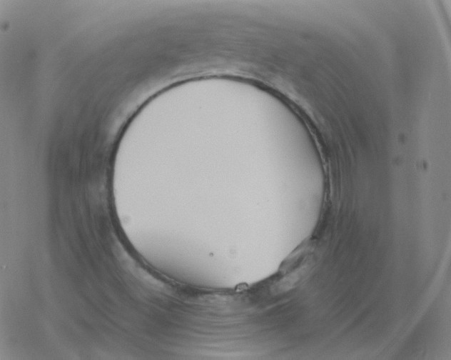 X0000076271500200610262017