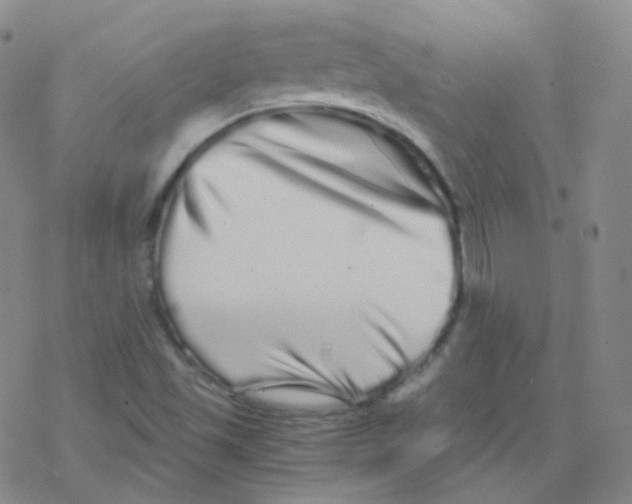 X0000076271501200610262017