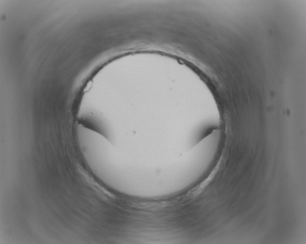 X0000076271502200610262017