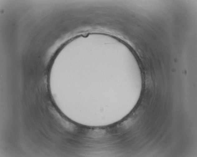 X0000076271503200610262017