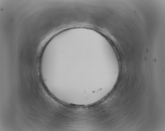 X0000076271504200610262017