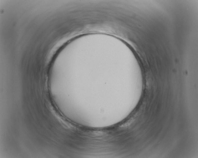 X0000076271507200610262017