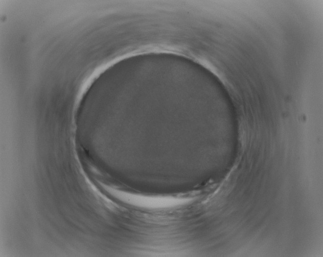 X0000076271508200610262017