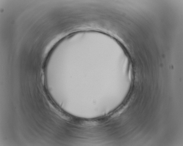 X0000076271509200610262017