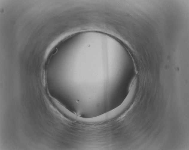 X0000076271510200610262017