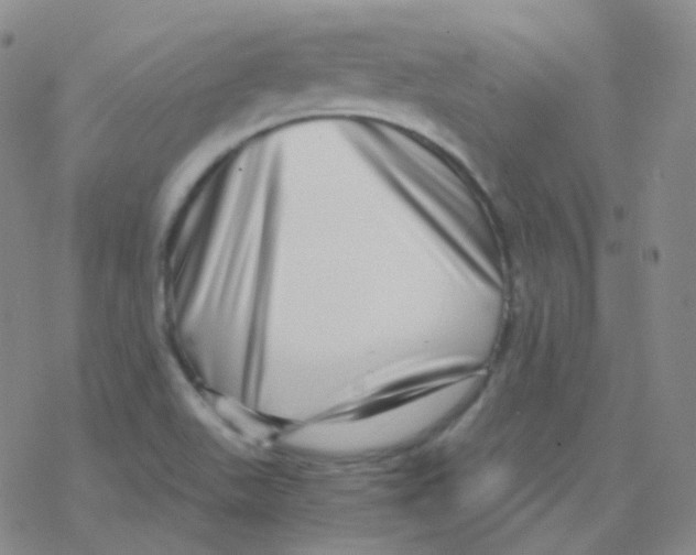 X0000076271511200610262017