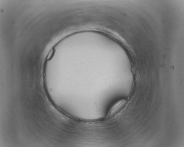 X0000076271512200610262017