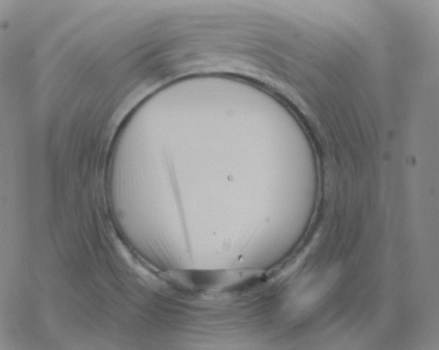 X0000076271513200610262017