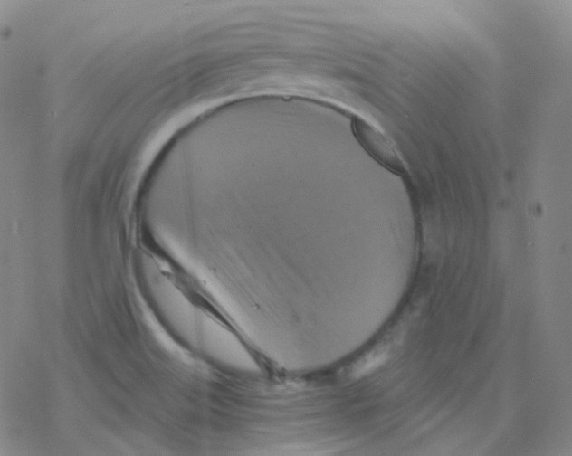 X0000076271515200610262017