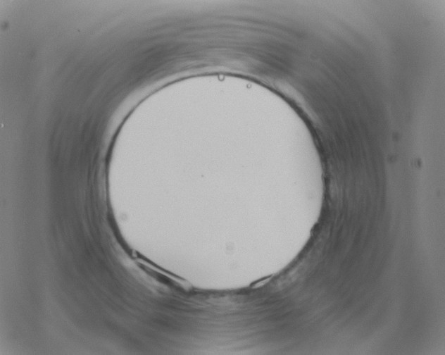 X0000076271516200610262017