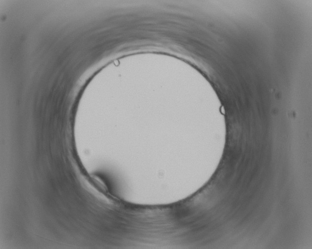 X0000076271518200610262017