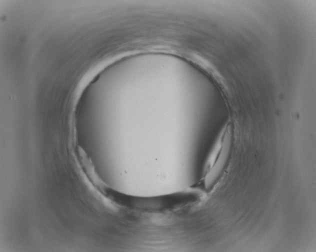 X0000076271520200610262017