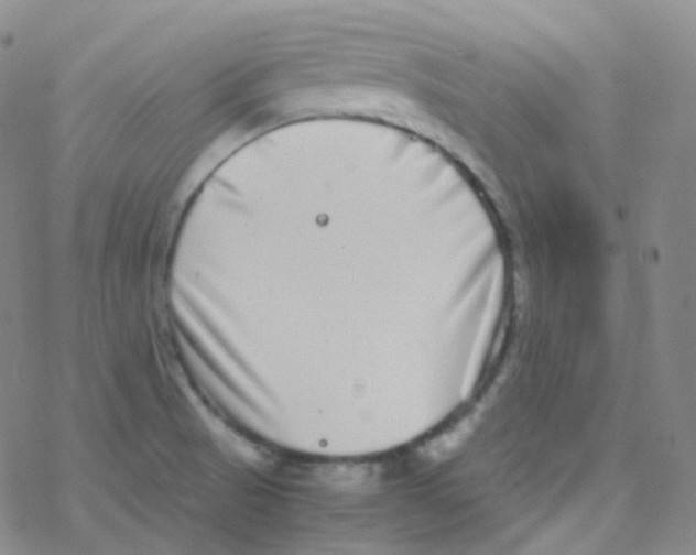 X0000076271521200610262017