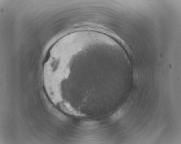 X0000076271522200610262017