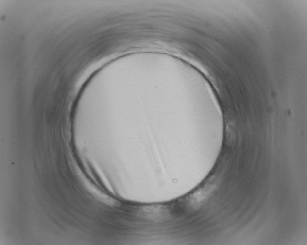 X0000076271523200610262017